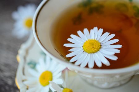 Phytotherapie